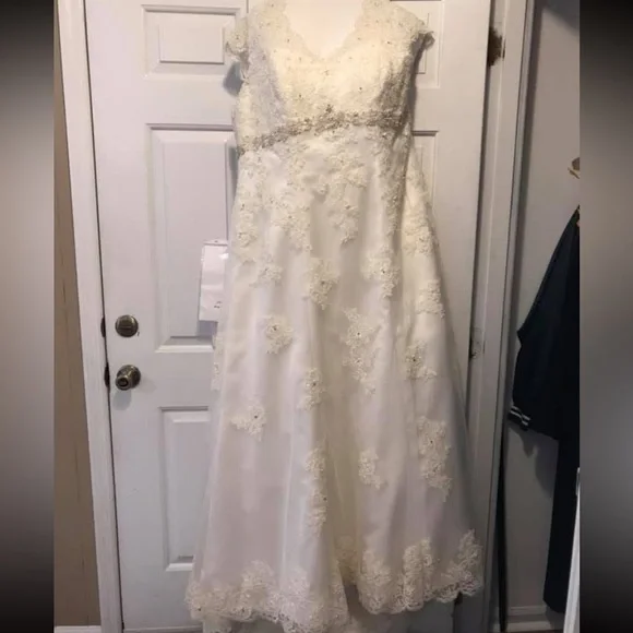 David's Bridal Elegant Lace Wedding Dress in White